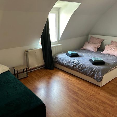 Bivolul Negru Apartment Blaj ภายนอก รูปภาพ