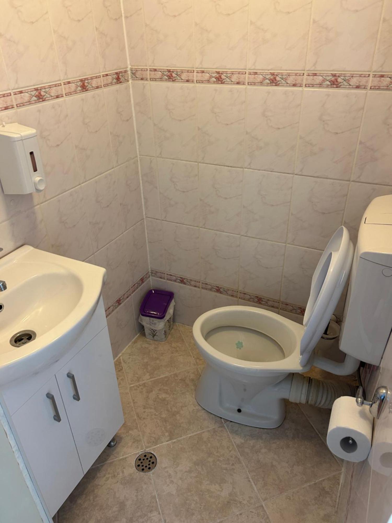 Bivolul Negru Apartment Blaj ภายนอก รูปภาพ